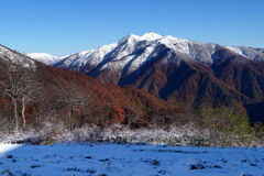 上から眺める三段紅葉