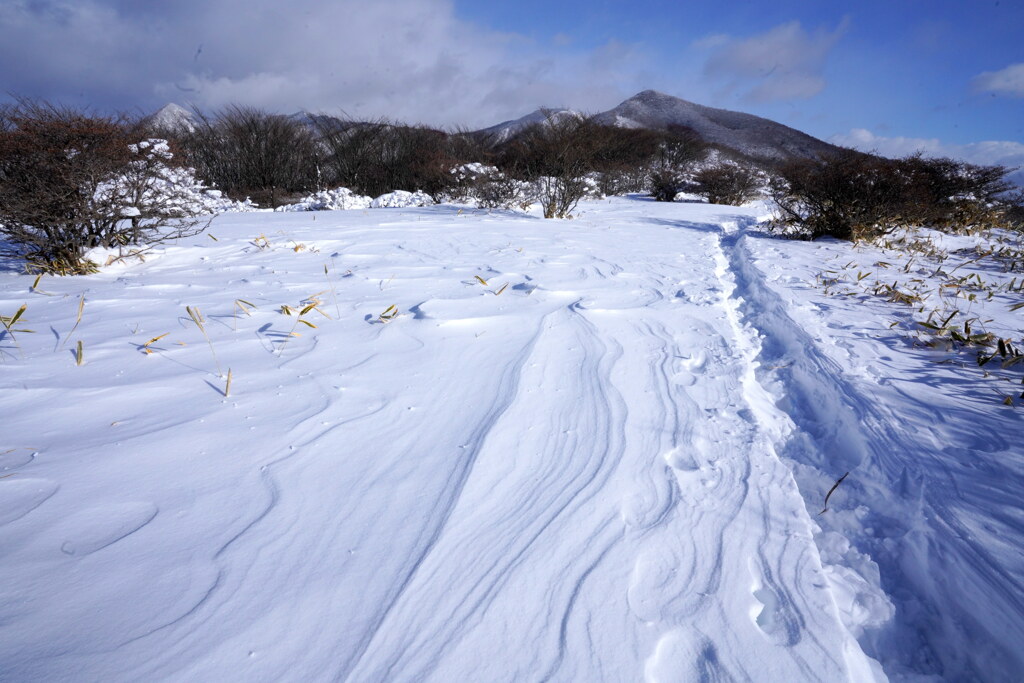 風の通り道