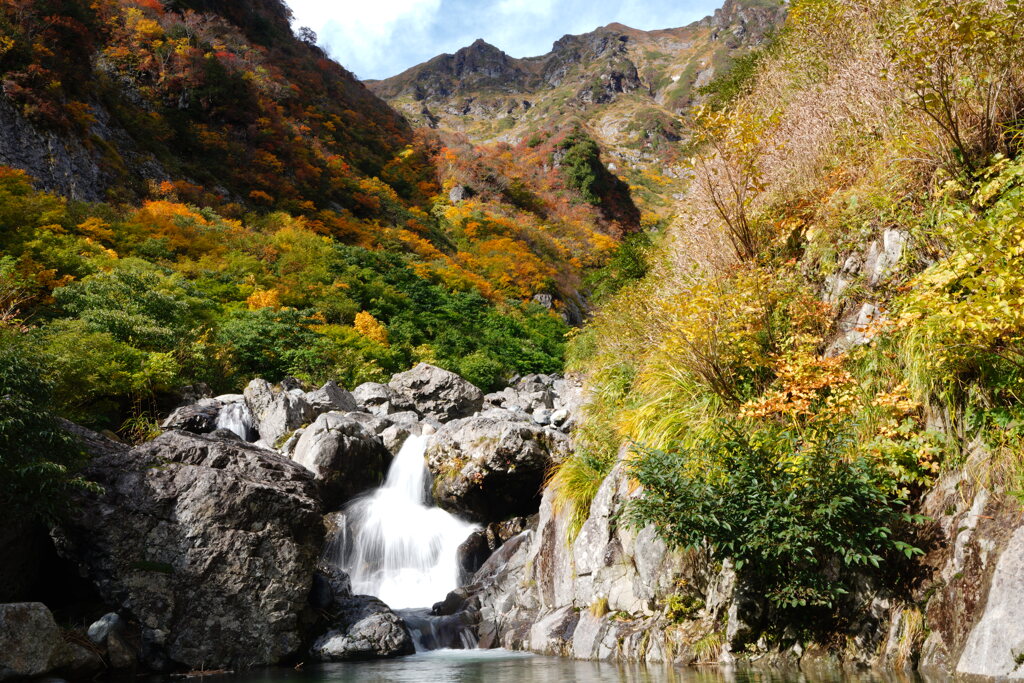 秋の芝倉沢