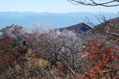 秋と冬の狭間