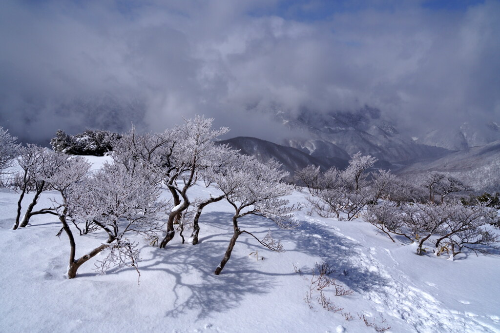 雲の下はスキー場