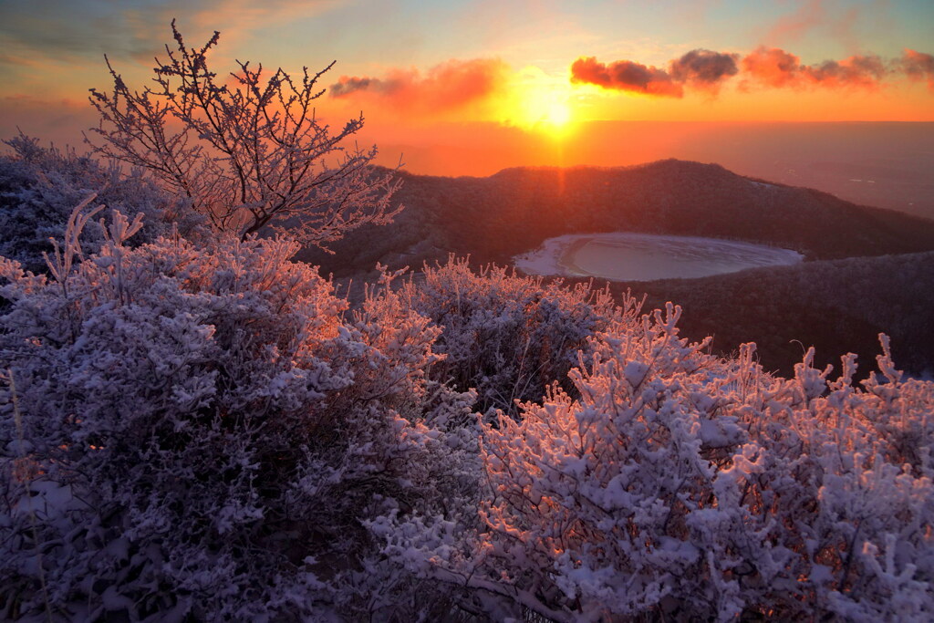 霧氷の朝焼け