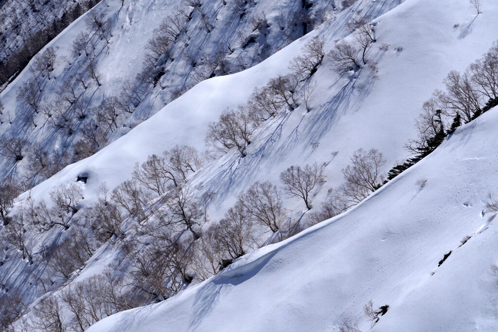 残雪の尾根