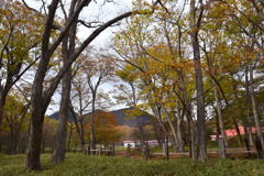 光徳牧場の秋　