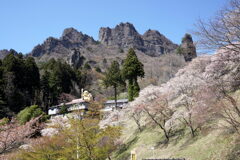 妙義さくらの里