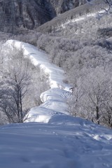 霧氷の中の雪庇ロード