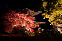 鑁阿寺・秋の夜