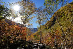 紅葉の登山道