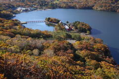 錦に囲まれる赤城神社
