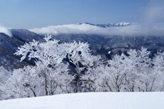 霧氷の花咲く日白山