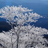 白と青