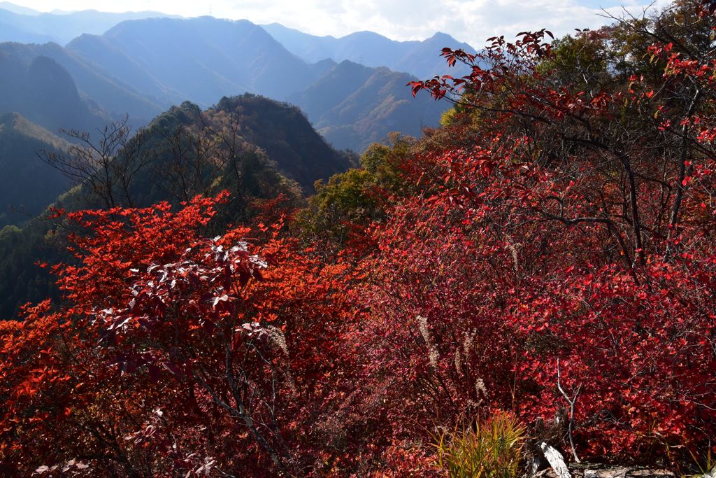 赤に染まる三ツ岩岳の尾根