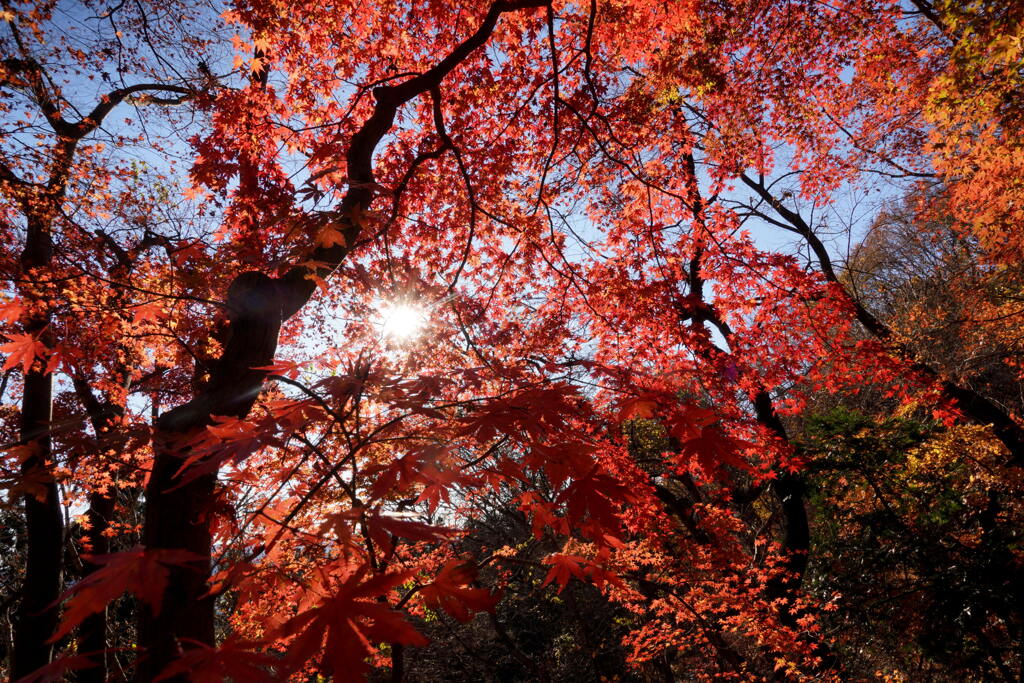 紅葉の破風山