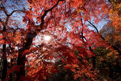 紅葉の破風山
