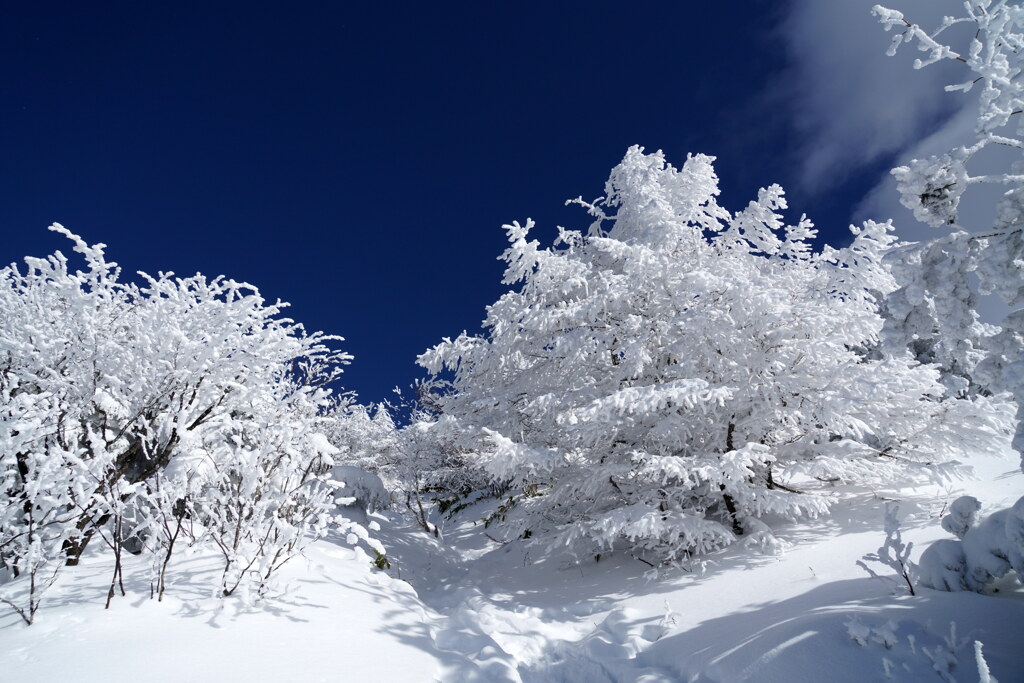 雪のデコレーション