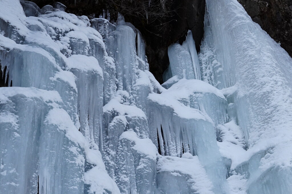 雪化粧のクラゲ氷