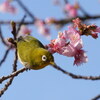 この花甘いよ