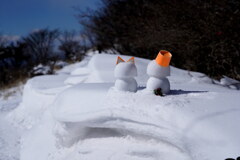 雪庇にニャン