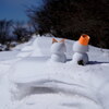 雪庇にニャン