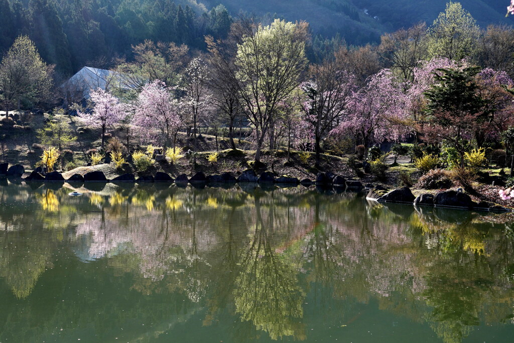 銭淵公園の朝