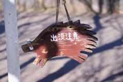 出没注意