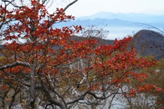 紅葉と鈴ヶ岳