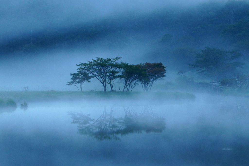 朝霧の覚満淵