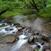 奥日光の流れ