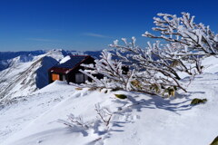 霧氷咲く谷川岳