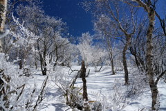 霧氷の中へ