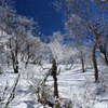 霧氷の中へ