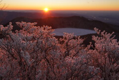 朝陽の染まる珊瑚
