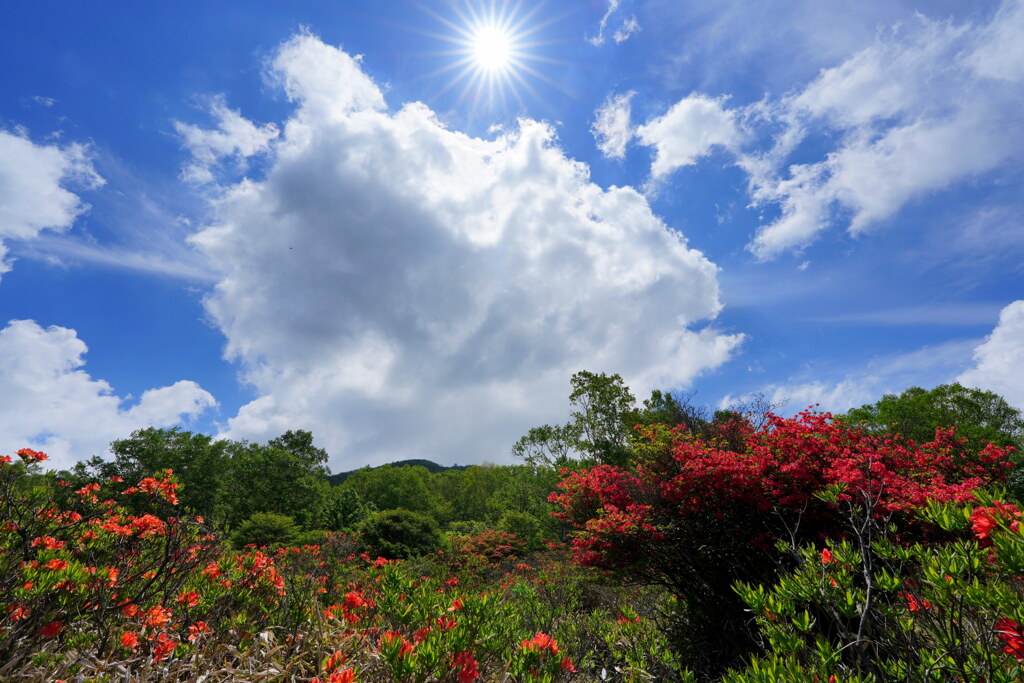 夏空