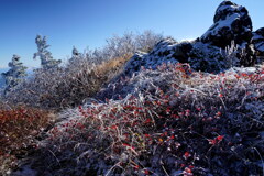 雪化粧の秋