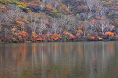 紅葉のリフレクション