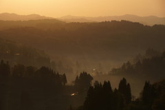 朝日差す棚田