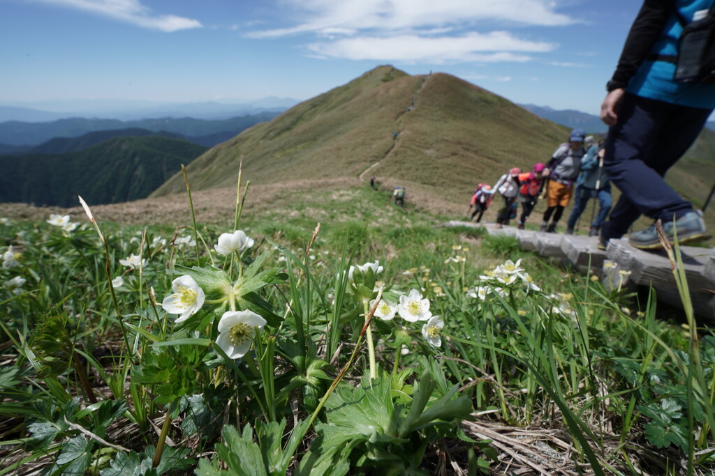 大人気の山へ