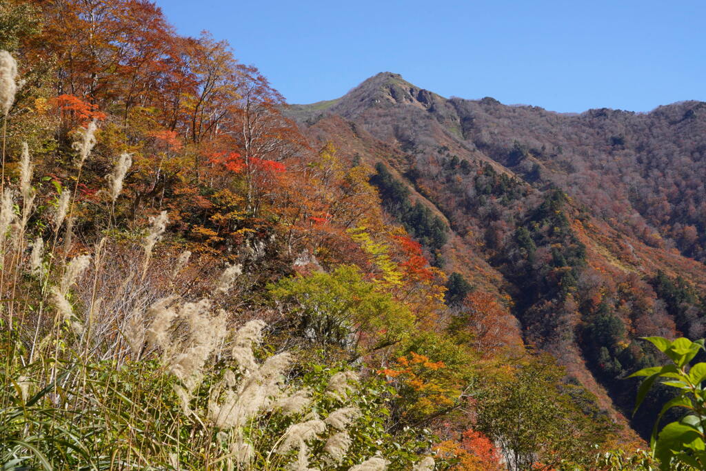 秋深まる谷川遊歩道