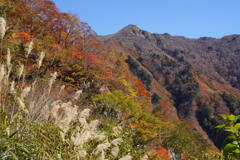 秋深まる谷川遊歩道