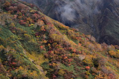 険しき尾根の紅葉