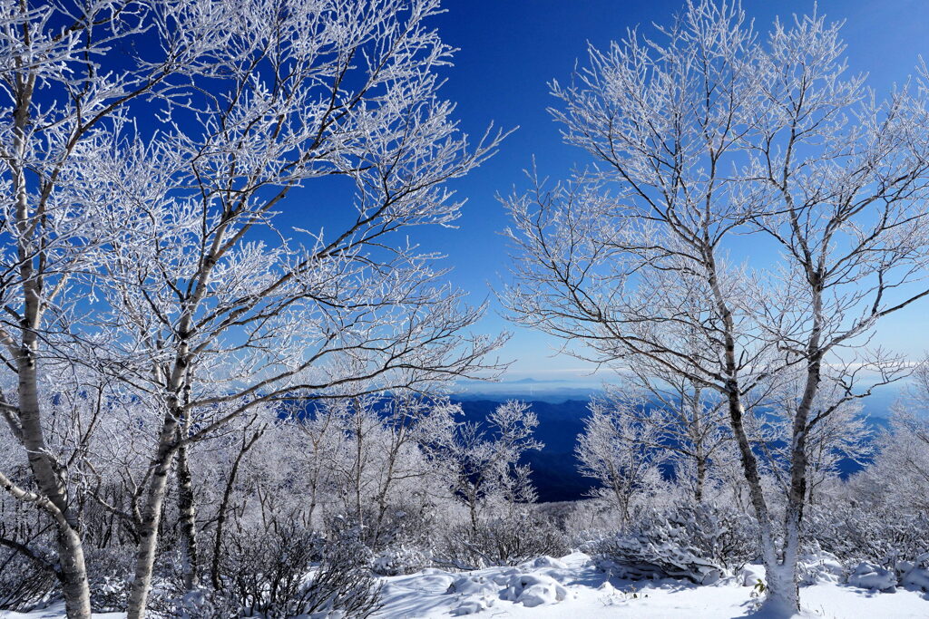 霧氷に癒されて