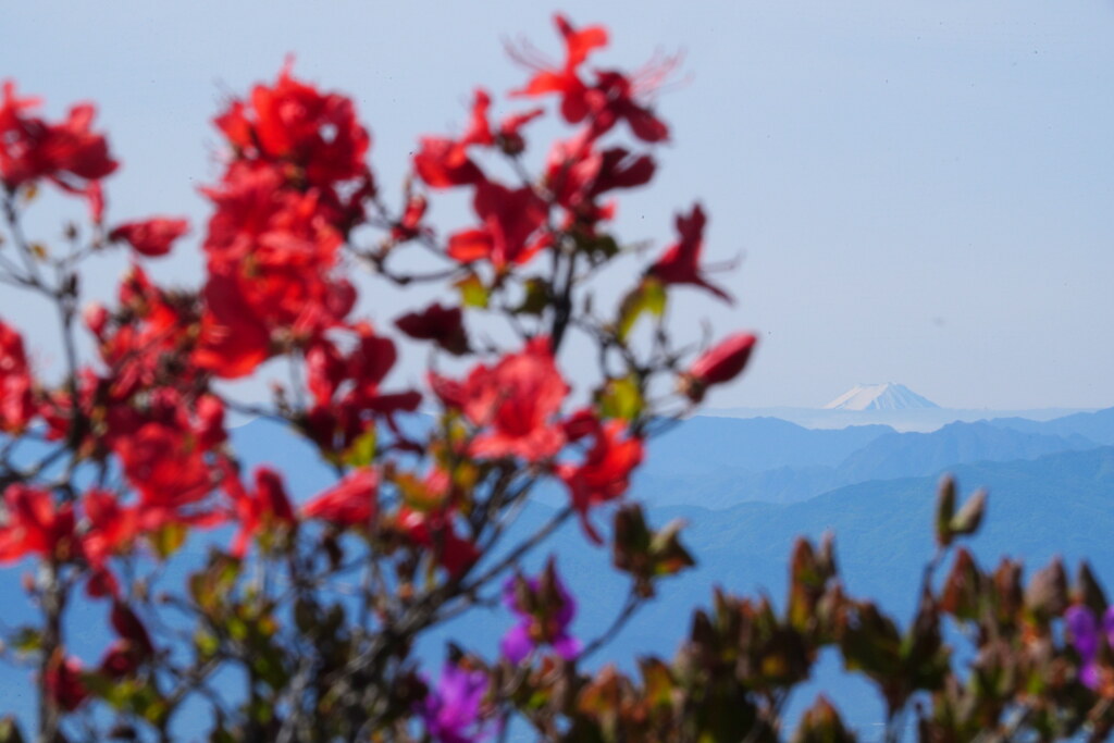 入れたいね！富士山