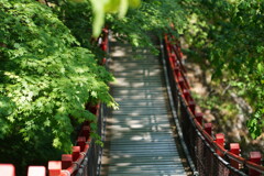 赤い大滝橋