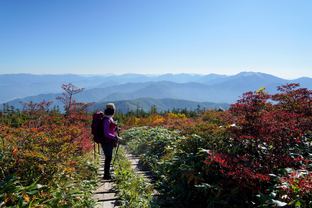 錦染まる山へ