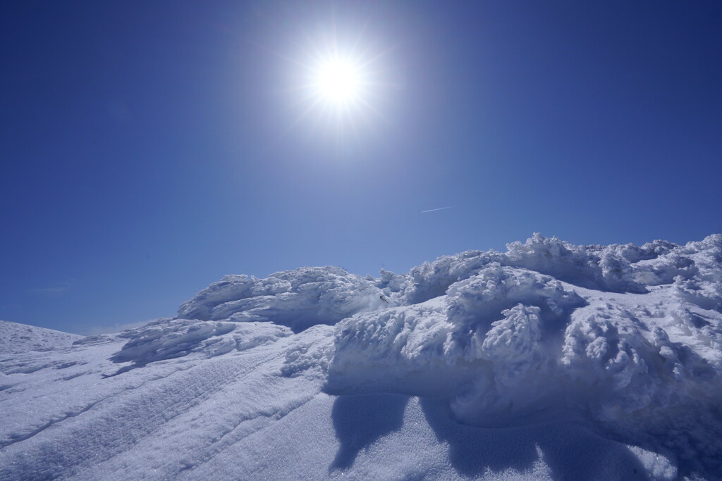 春霞の樹氷