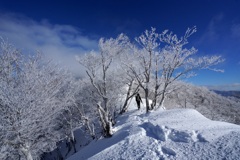霧氷の赤城・駒ケ岳２