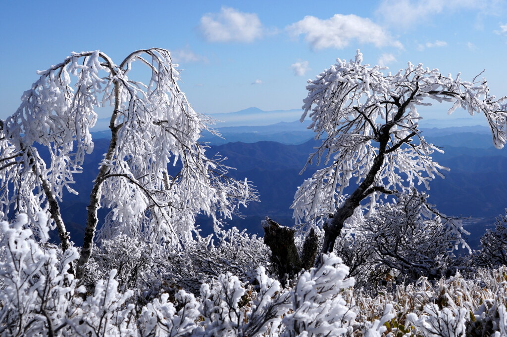 枝垂れ霧氷と筑波山