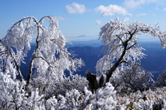 枝垂れ霧氷と筑波山
