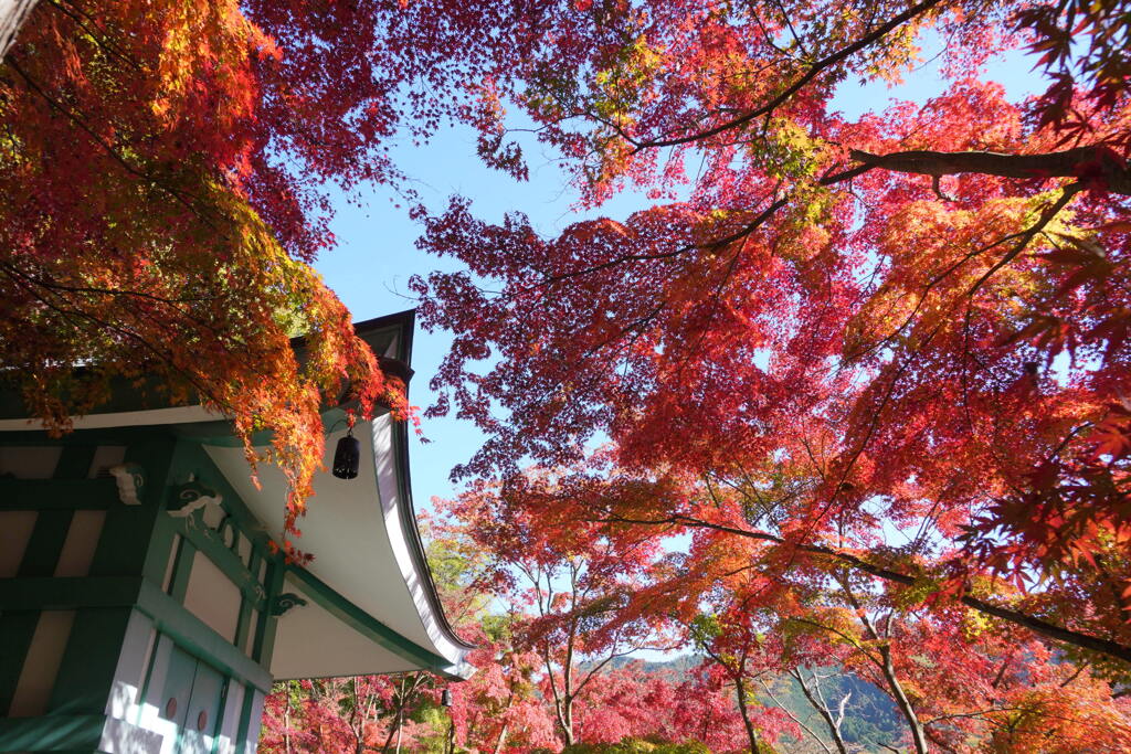 秋の崇禅寺