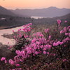 篭山の夕暮れ